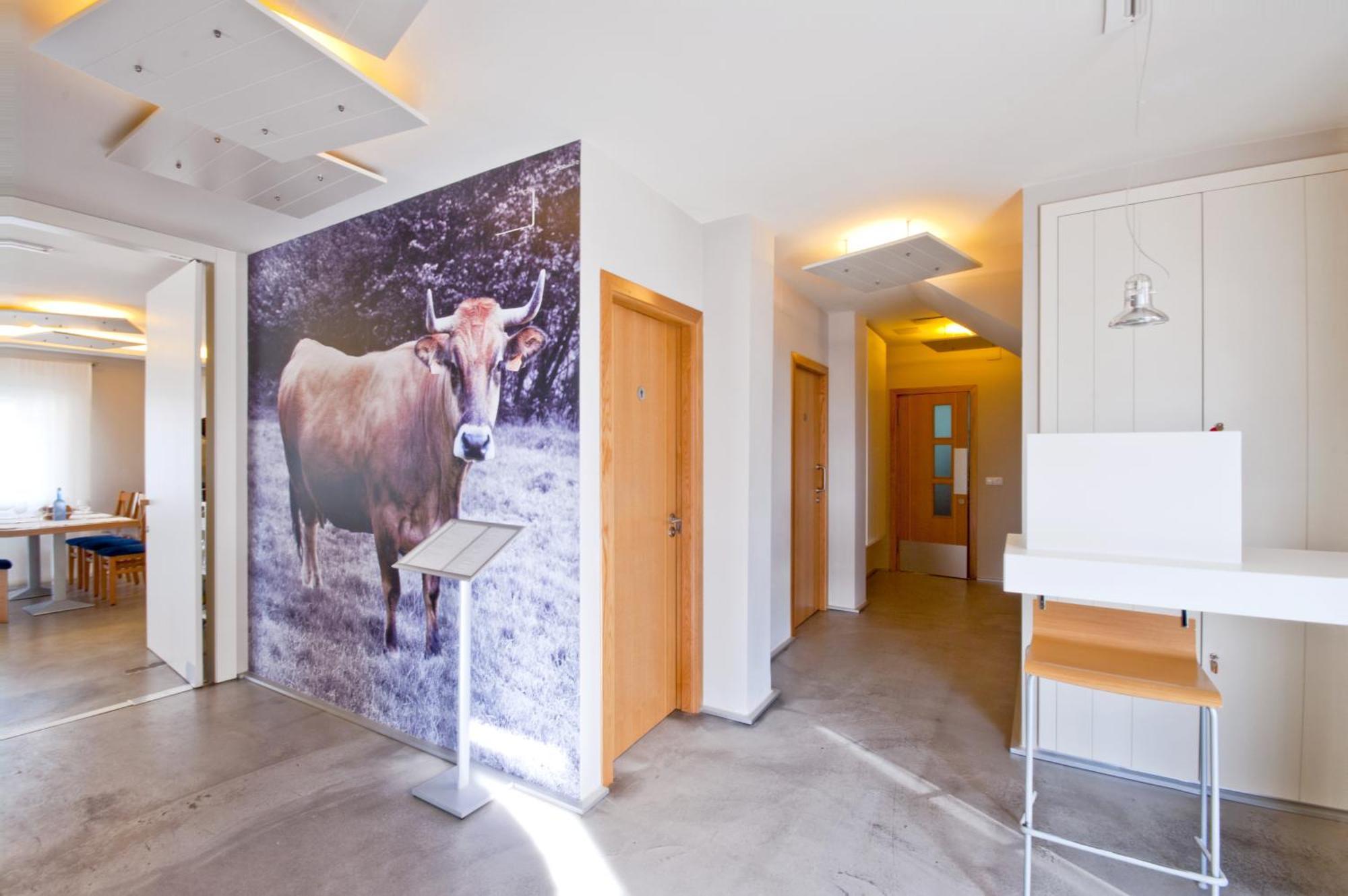 Hotel Boa Vista Viveiro Zewnętrze zdjęcie